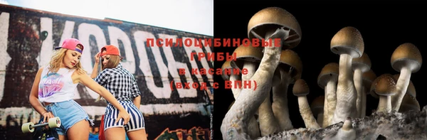 каннабис Богородицк