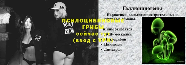 spice Богородск