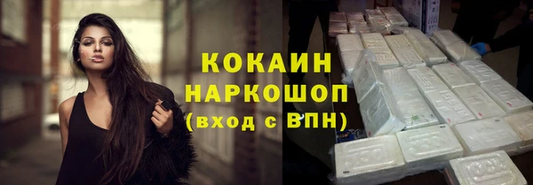 spice Богородск