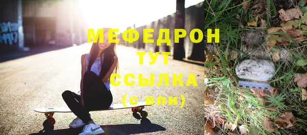 spice Богородск