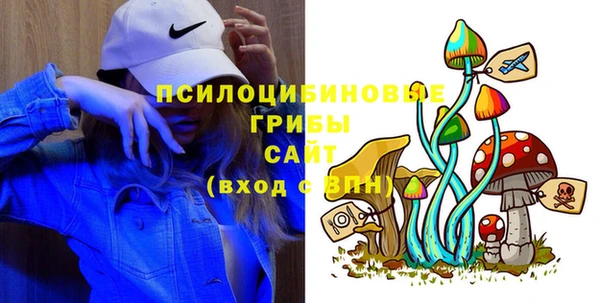 spice Богородск